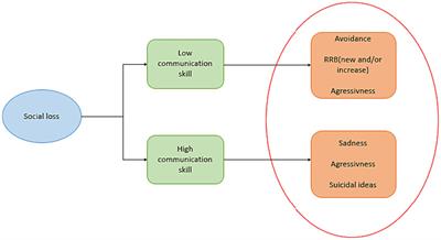 The importance of social relationships in depression in autistic adolescents: a narrative-review